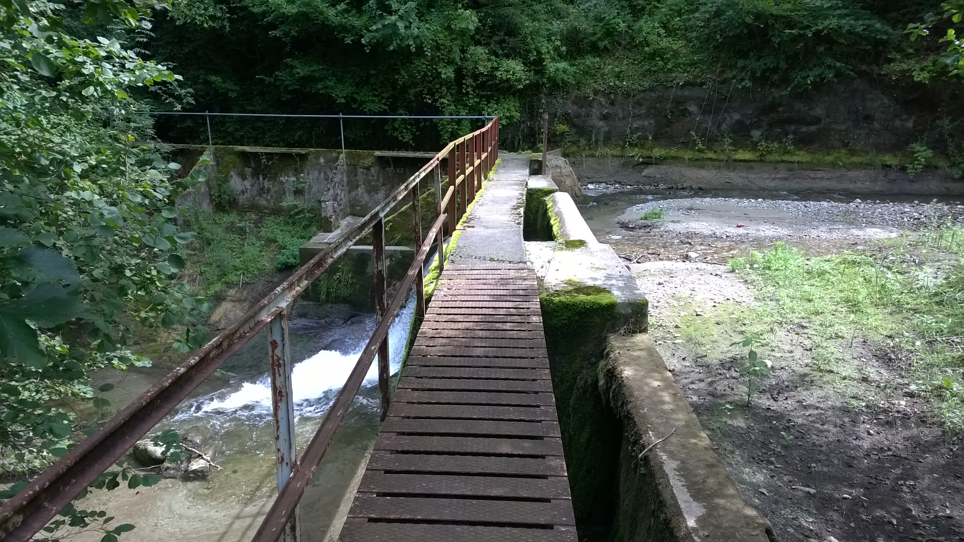 wp_20140804_044